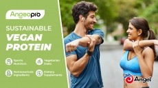 AngeoPro - Sustainably Sourced Natural Vegan Protein 