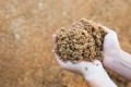 Brewers’ spent grain a promising snack ingredient that can be upcycled to regulate blood sugar levels. © Getty Images